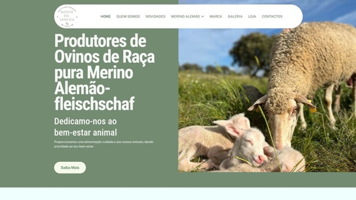 Merino Alemão-fleischschaf
